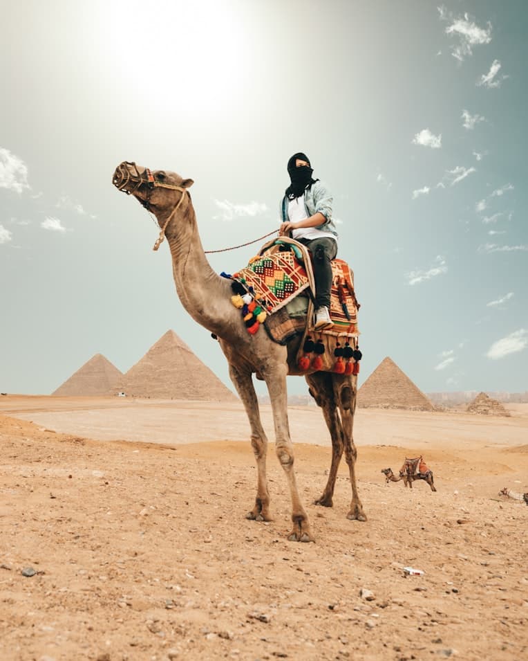 Cairo, Luxor, Aswan and Abu Simbel tour